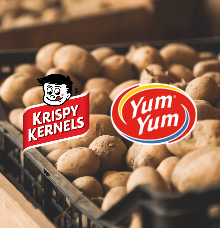 Kripsykernel yumyum article collation 800x800