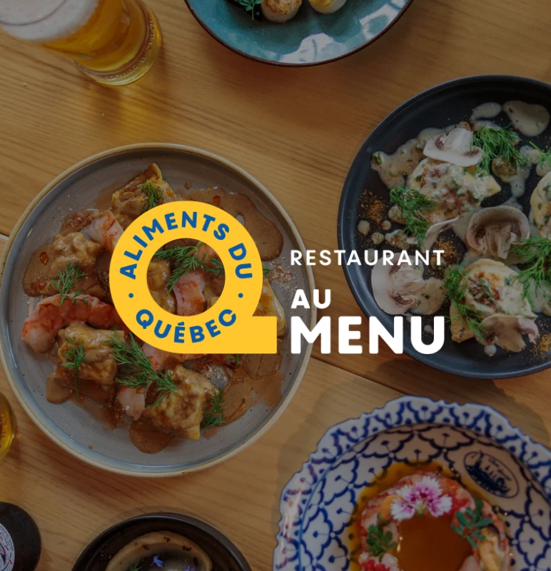 AQM fond resto 800x800