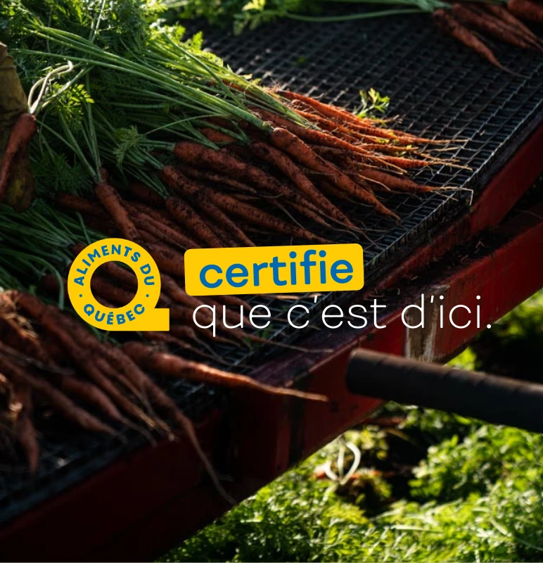 ADQ Mission Certifie Ici