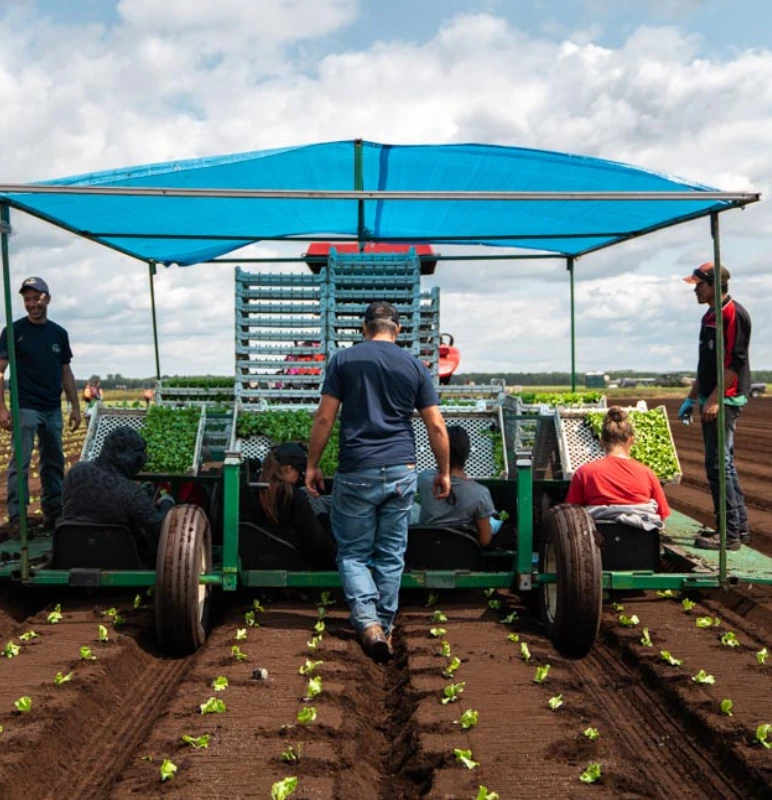 Pourquoi adherer choix gagnant pour tous 1