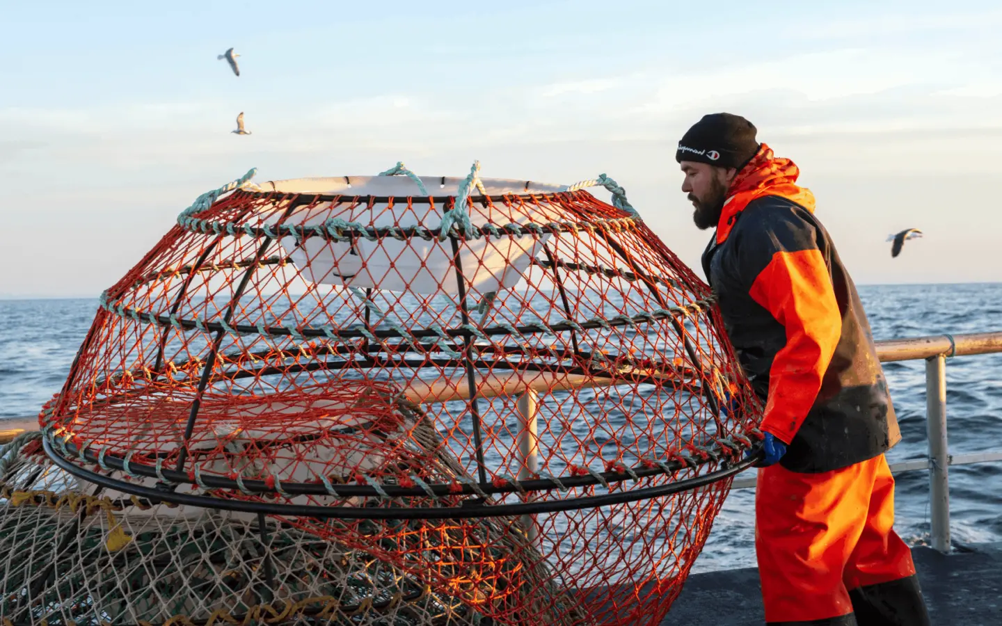 Banniere Entete ADQ Le Gout Du Quebec Peche 1