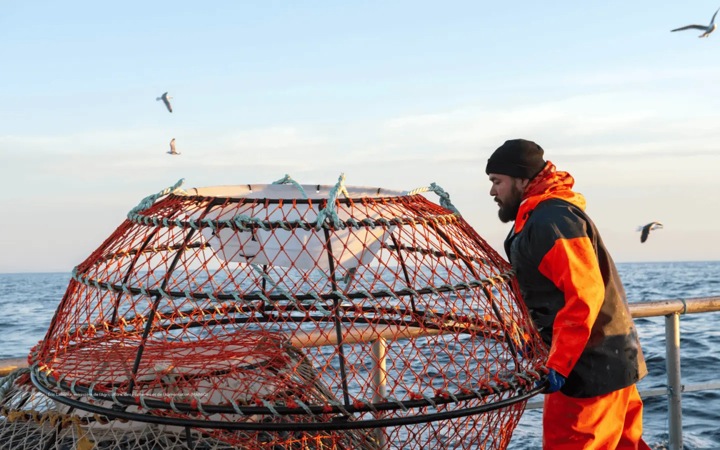 Banniere Entete ADQ Le Gout Du Quebec Peche 5