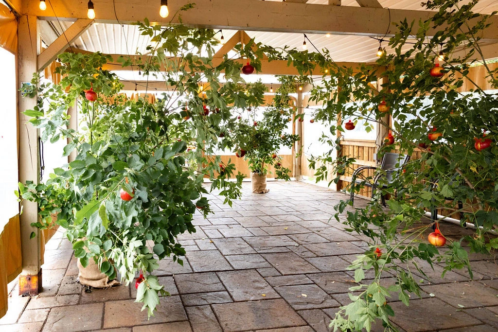 Pommier CHSLD Bourget