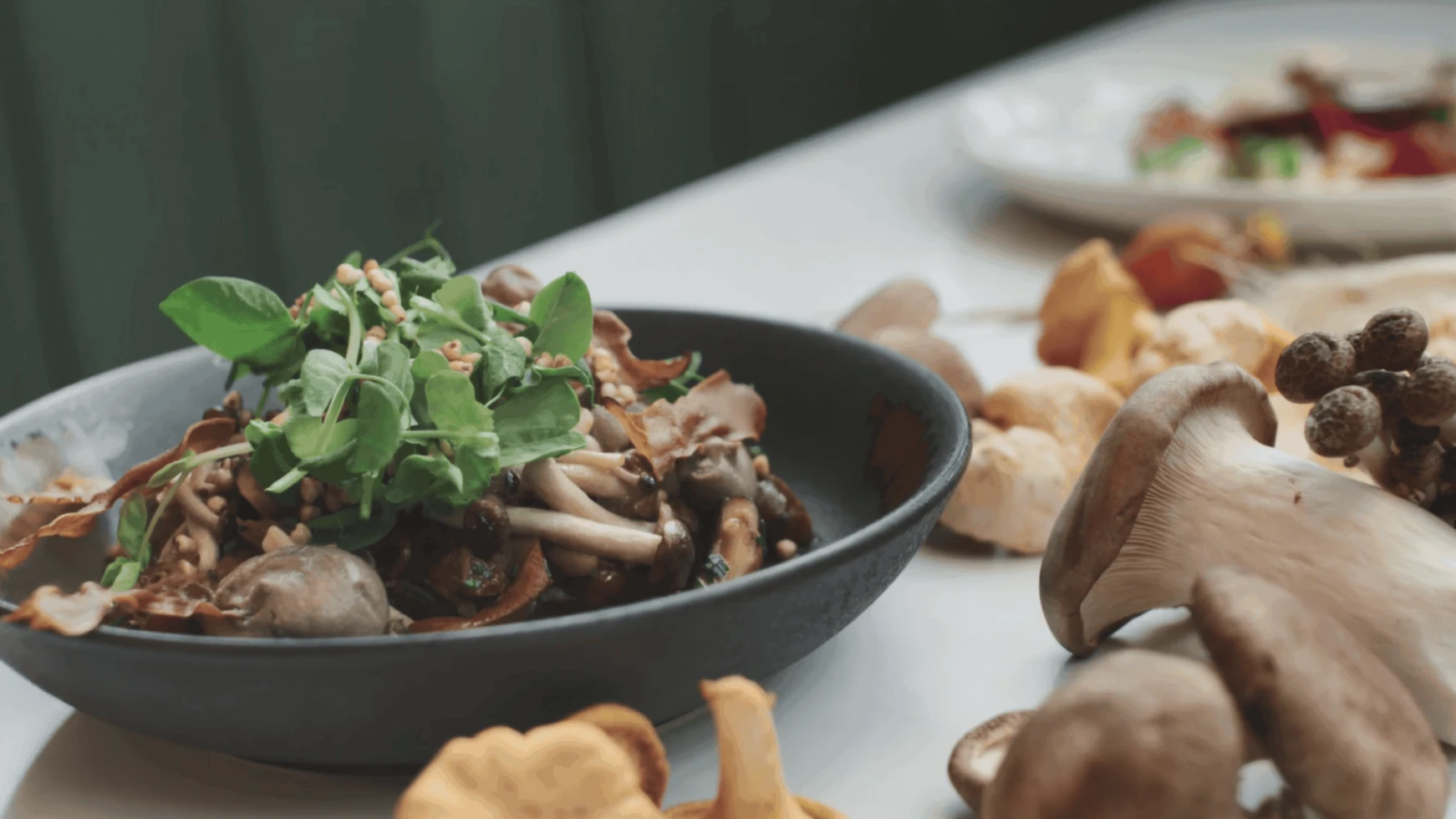 Webserie Le Gout Dinspirer3 1920x1080