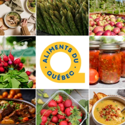 Creation sans titre 8 1757426528