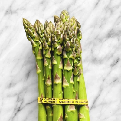 Asperge Qc