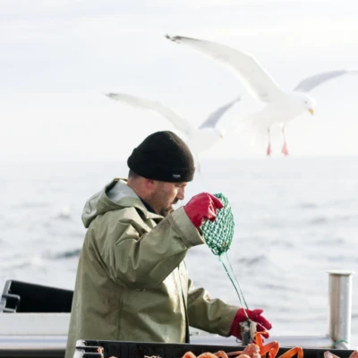 La peche au Quebec secteur vital sous pression