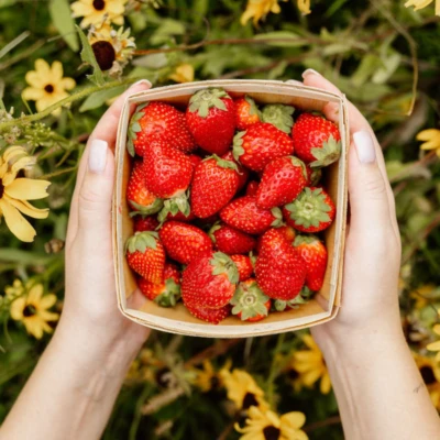 Panier Fraises