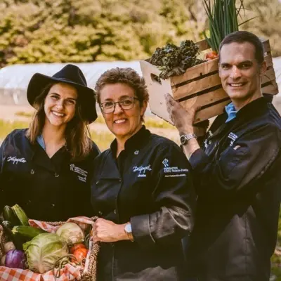 Delipapilles Cover 1