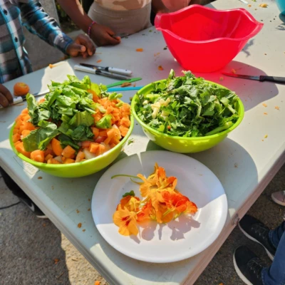 LIML23 Ecole La Passerelle 04 rotated