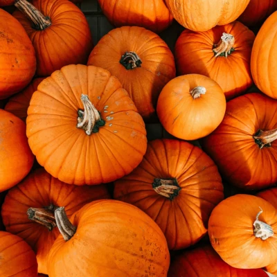 Automne multitude citrouilles 2