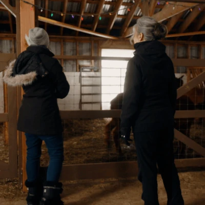 AQM Derriere le menu ferme alpacas