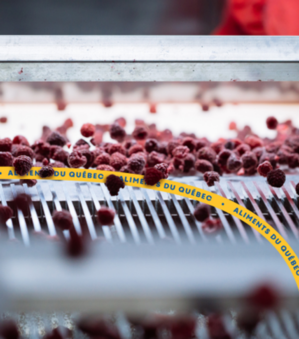 Recommandations du Vérificateur général du Québec : mission accomplie à 100 %