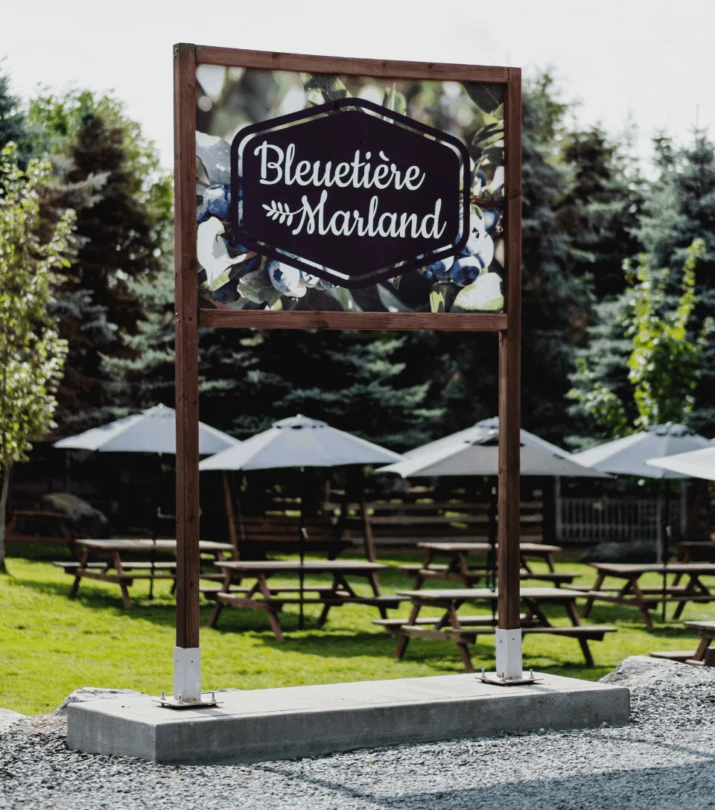 Recette limonade bleut Bleutiere Marland 1