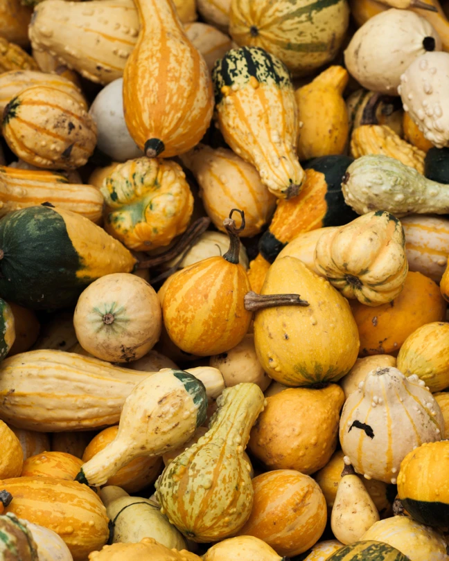 475x600courge 1506609226