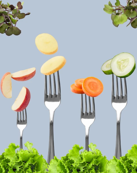 10 fruits et legumes frais 475x600 1739291510