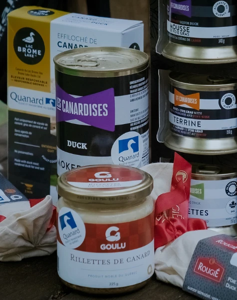 Couverture 475 600 1686684534