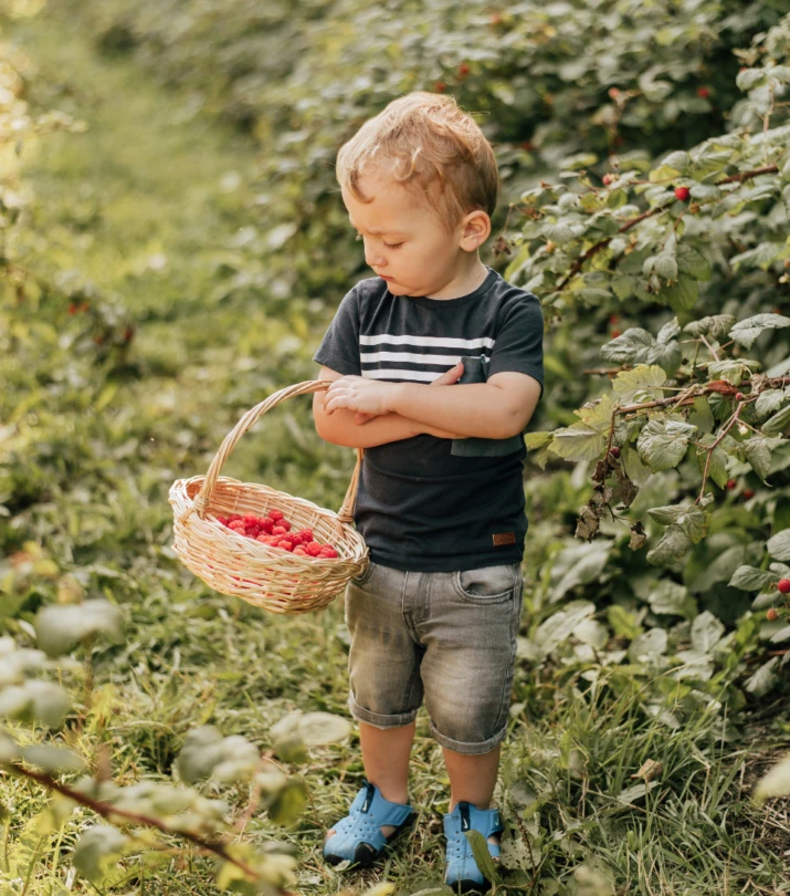 Fraiches Quebec recolte enfant