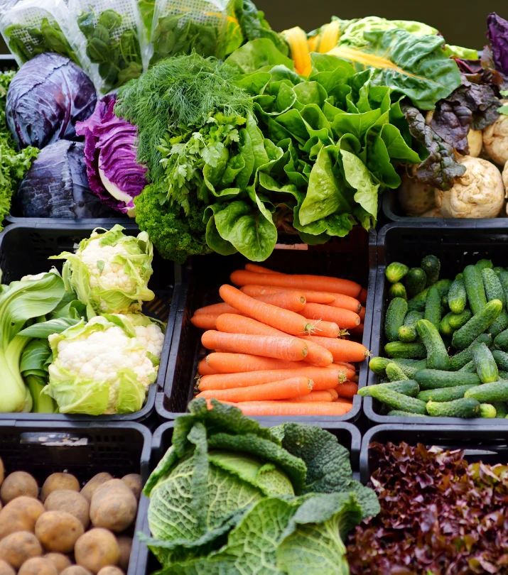 Produit aliments bio divers marche