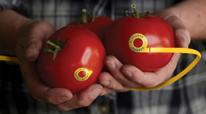 Produit tomates branding logo AQ 2000x1112