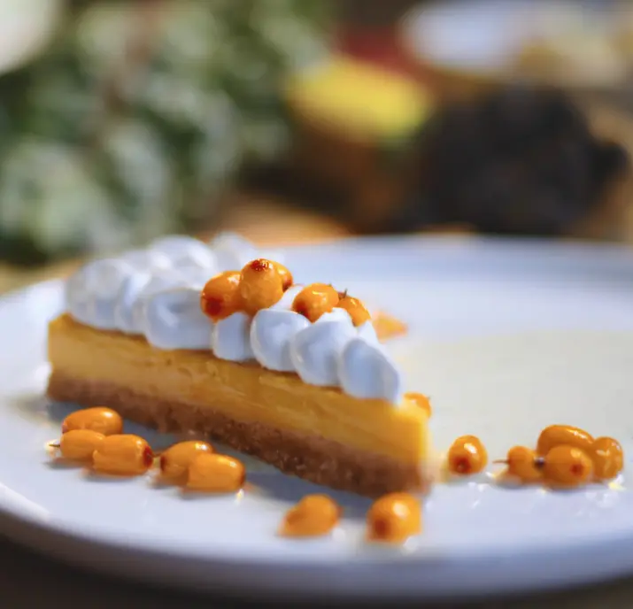 Tarte argousier 1 png site web 1