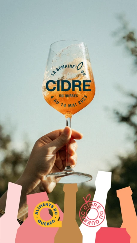 SDC Visuel IGS 2023 Photo