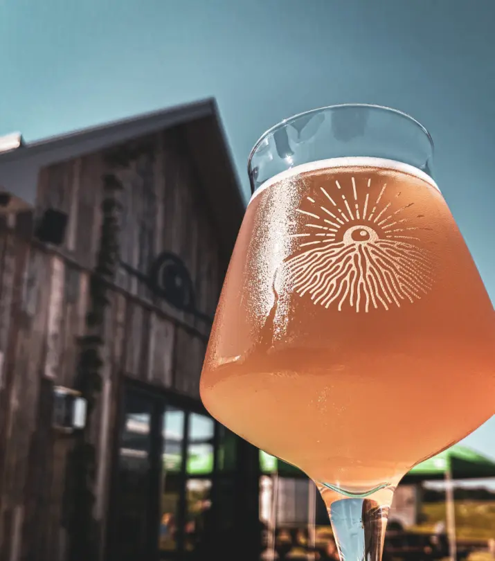 Terre a boire Quand lethique et la passion se marient dans un verre