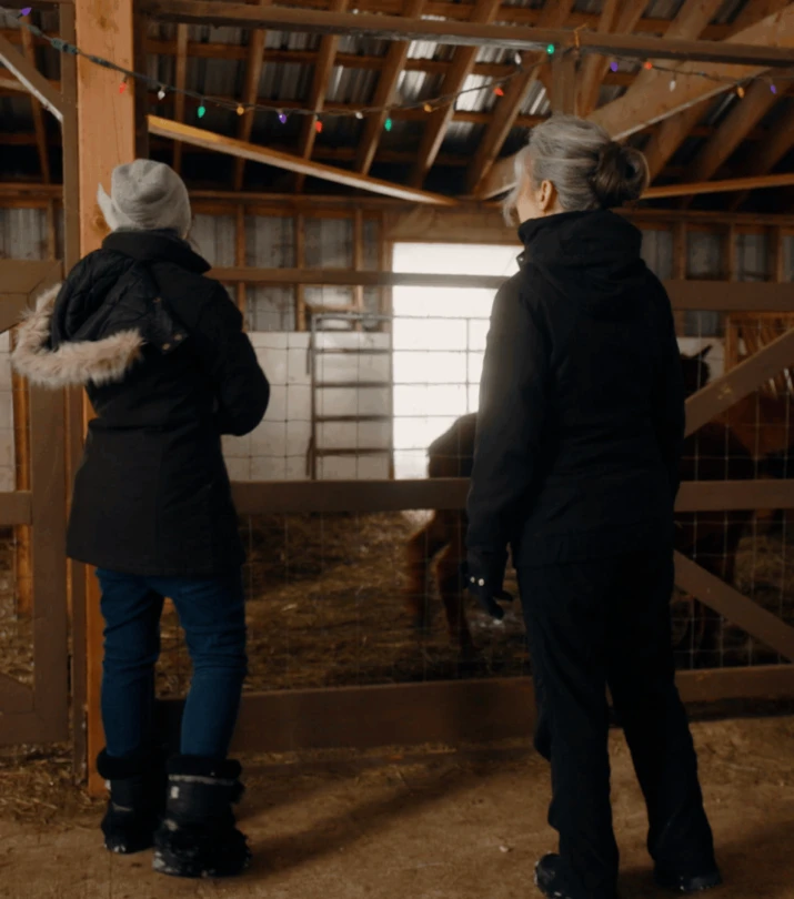 AQM Derriere le menu ferme alpacas