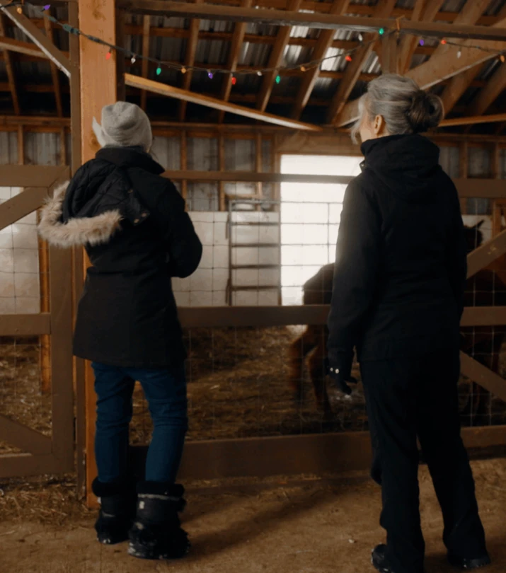 AQM Derriere le menu ferme alpacas 1