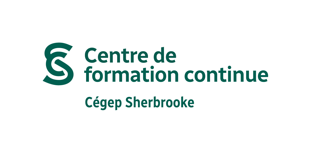 CDS Formation Continue vert 002