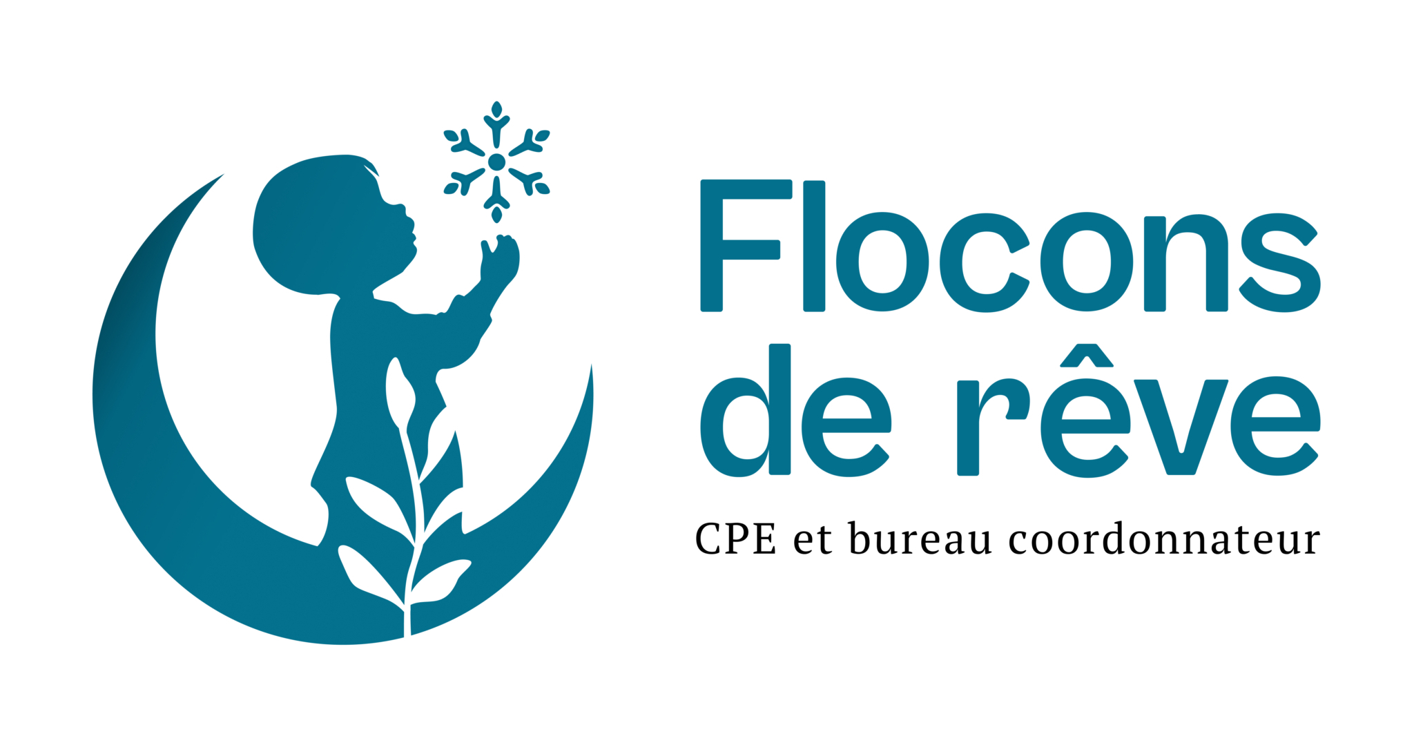 CFR Logo couleur