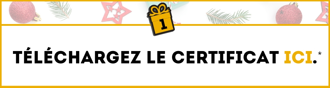 Mise-en-forme-en-cadeau-1-(1).jpg