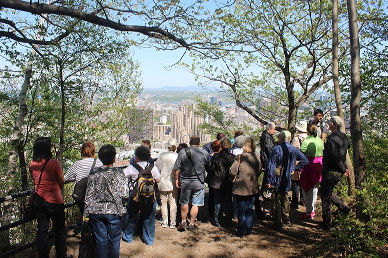 Enjoy a Group Activity on Mount Royal