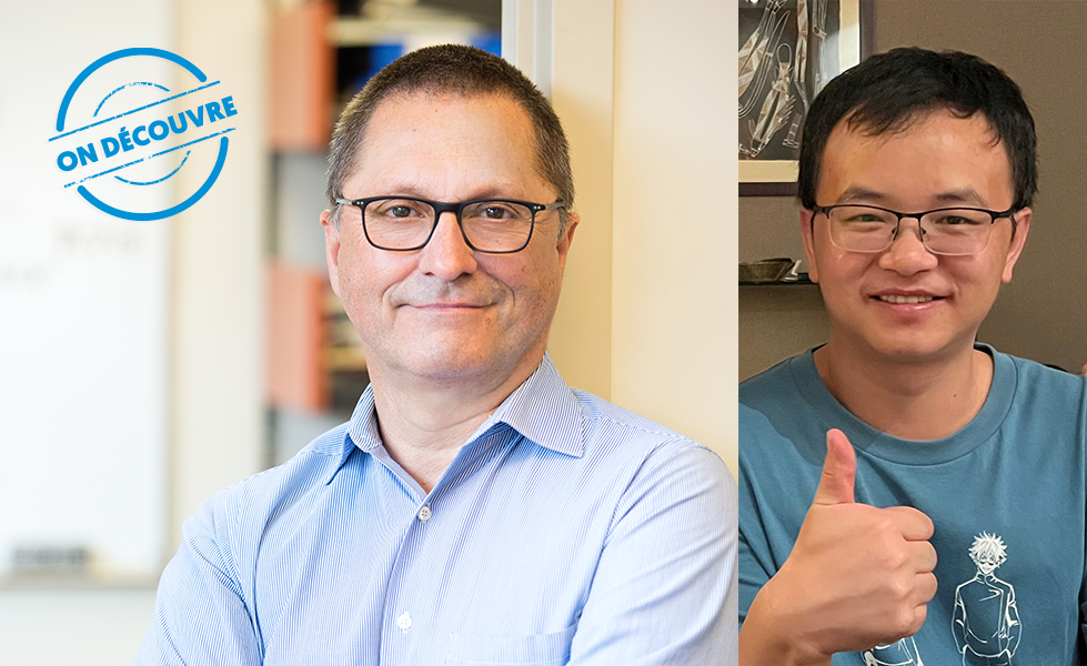 Comprendre les « freins » du système immunitaire : une clé pour des traitements anticancéreux plus intelligents