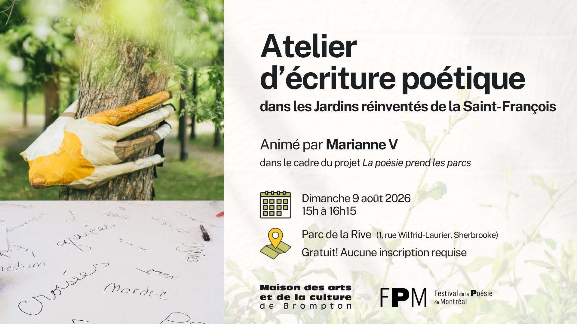 Articles - Image d'intro