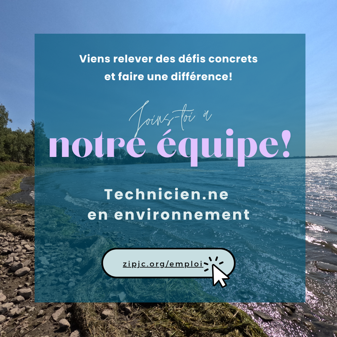 Articles - Vignette