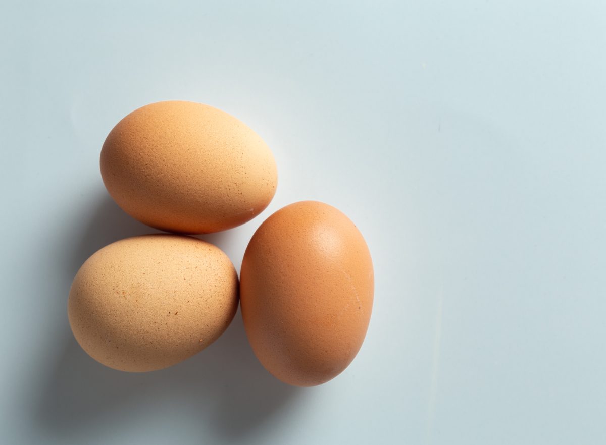 photo d'oeuf