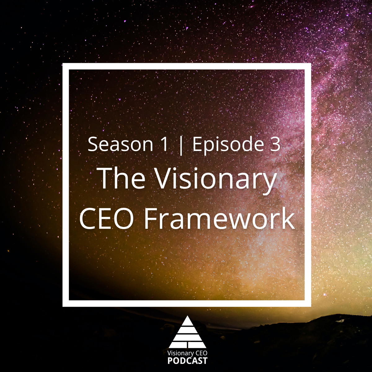 S01E03: The Visionary CEO Framework - Visionary CEO Academy