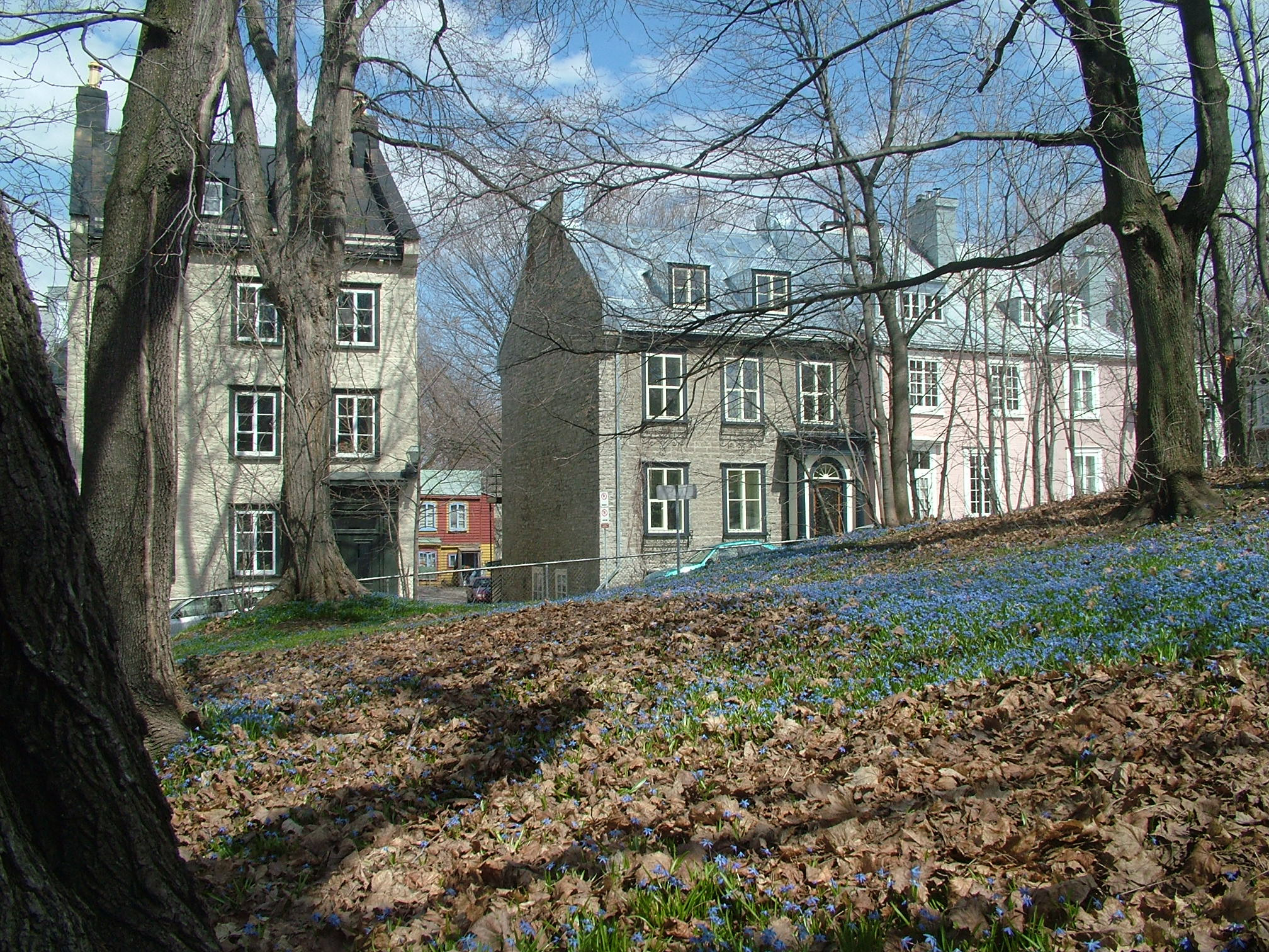 image description