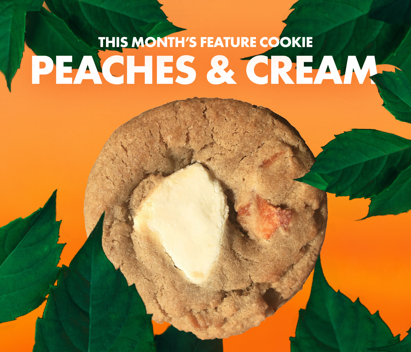 Monthly Feature Cookie Bucket