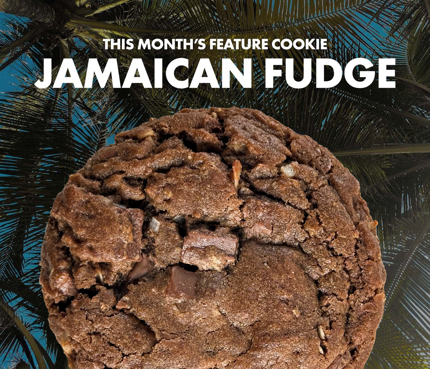 Monthly Feature Cookie Bucket