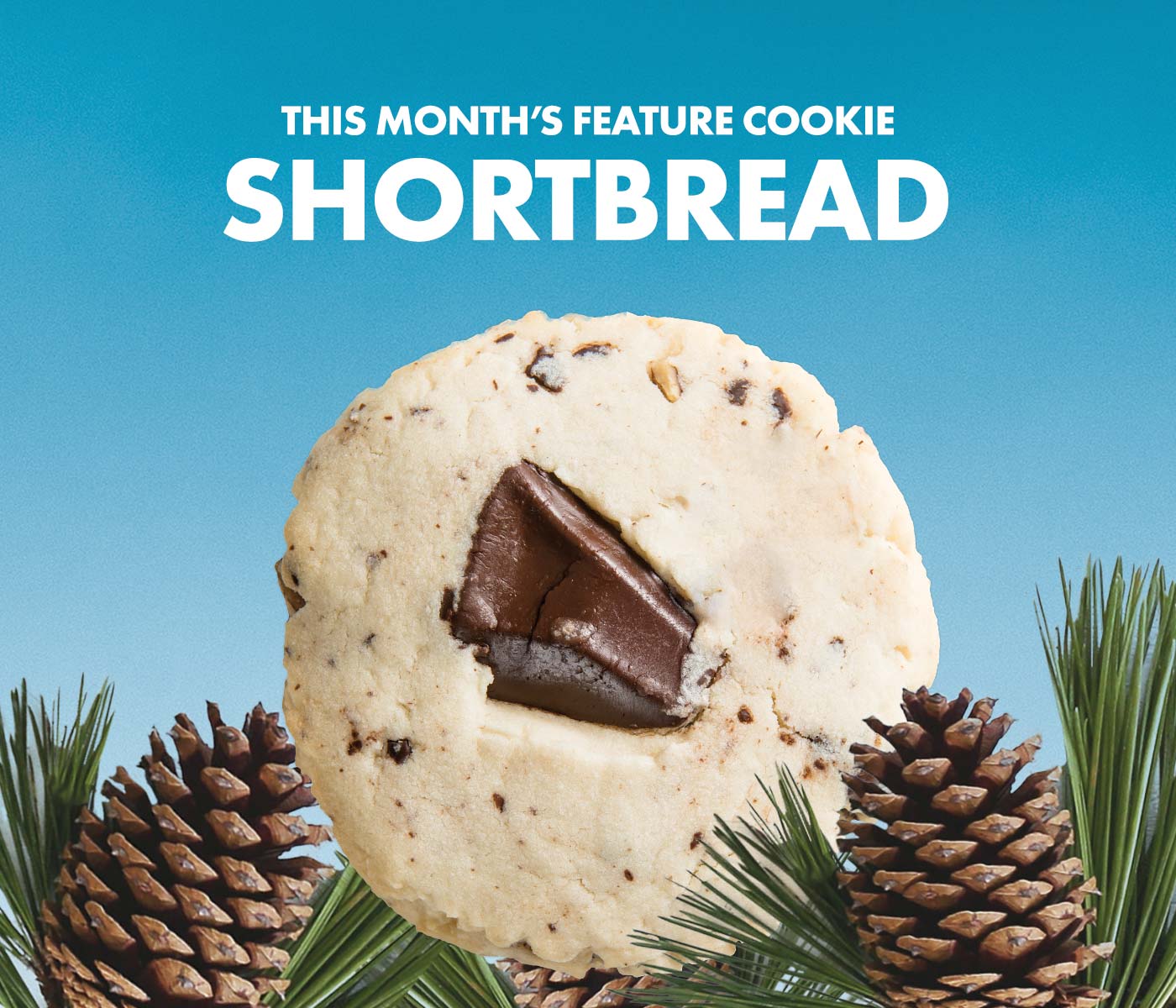 December Feature Cookie Bucket