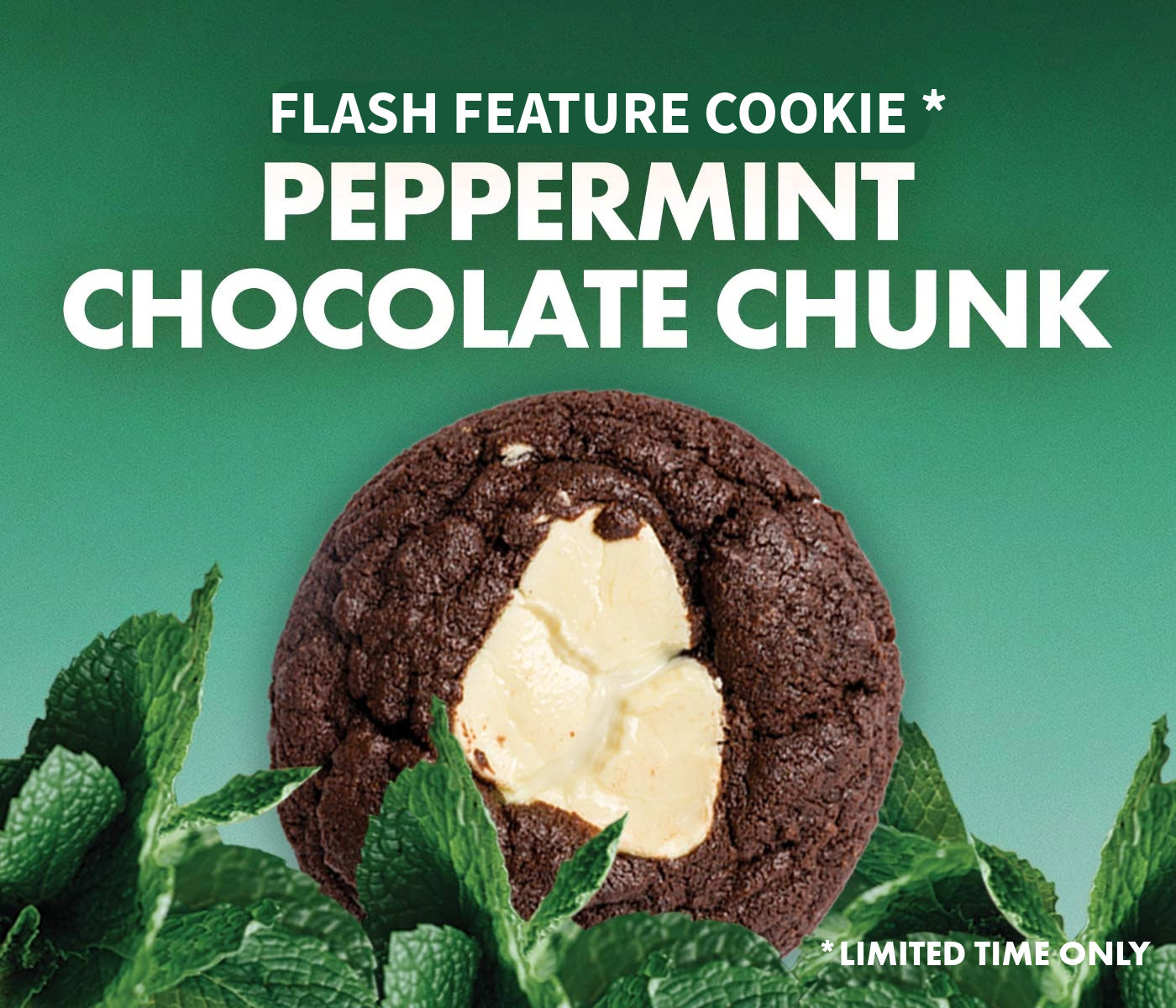 Flash Feature - Peppermint Chocolate Chunk