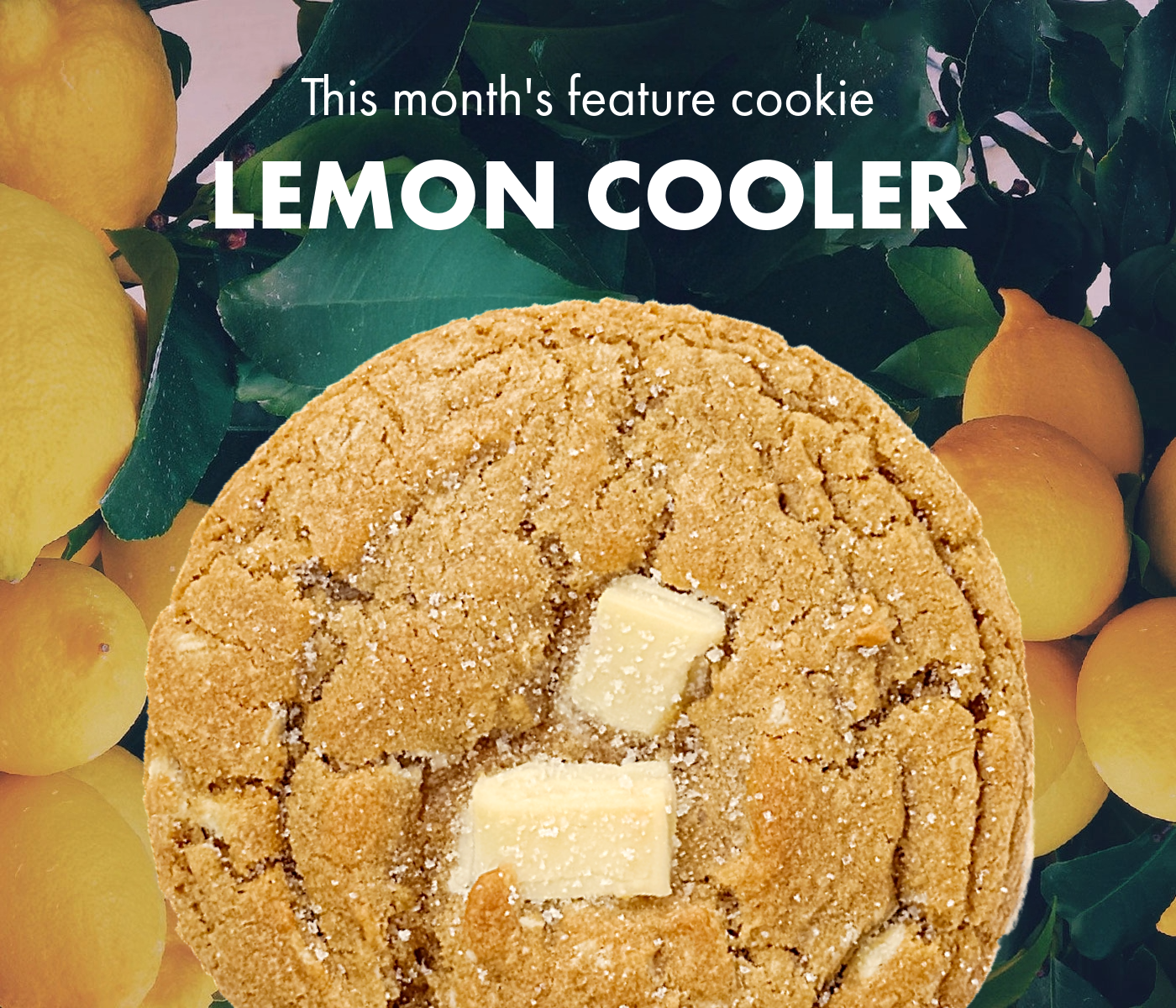 July Feature Cookie - Lemon Cooler