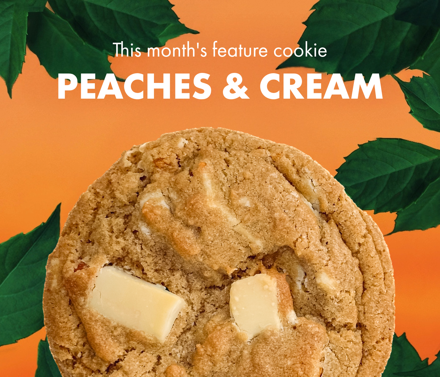 August Feature Cookie - Peaches & Cream