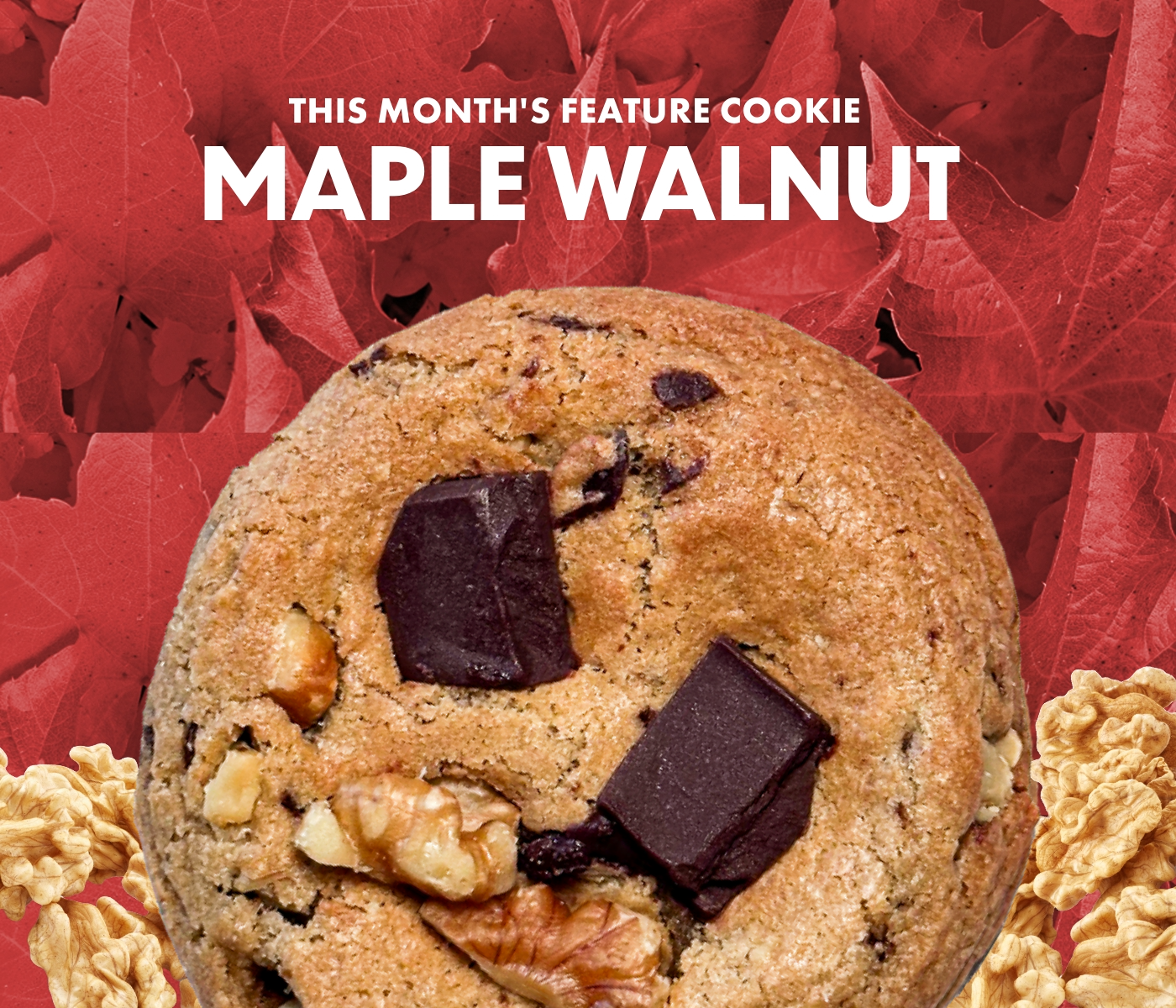 October Feature Cookie - Maple Walnut Chocolate Chunk