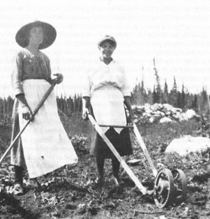 Femmes effectuant des travaux agricoles, 1935-Auteur inconnu -Archives Publiques Canada-PA-27509-Numéro d'image : 3261