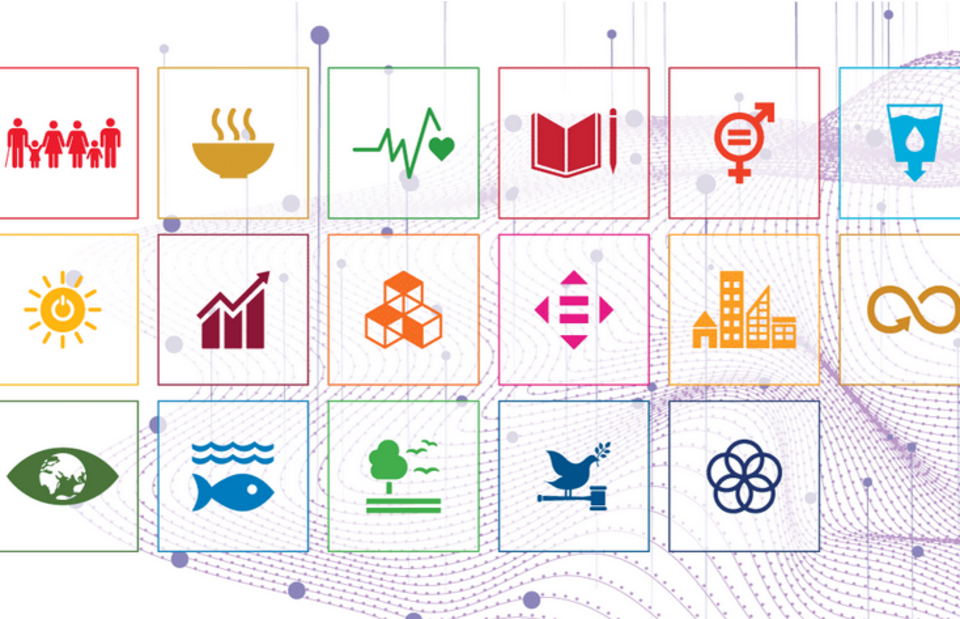 UN Office of Information and Communications Technology joins the DPGA