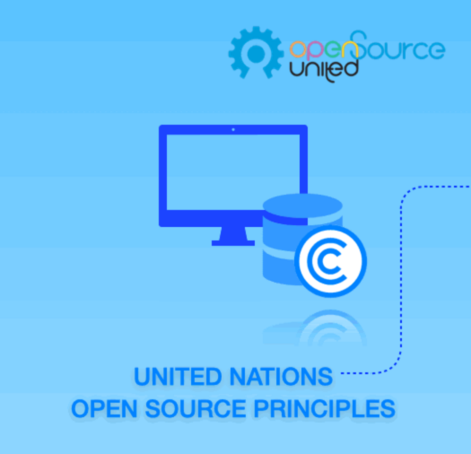 Advancing Digital Public Goods via the UN Open Source Principles