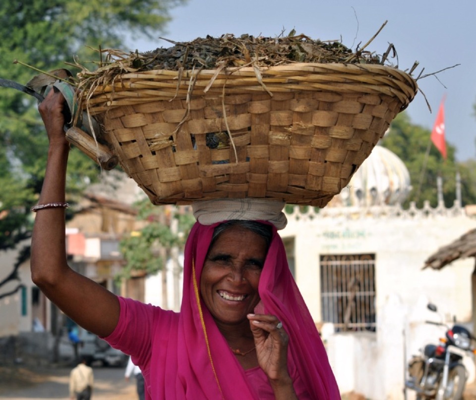 Bold Investments for Digital Public Infrastructure: Quantifying the Human & Economic Impact